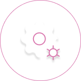 Software Testing & QA Icon